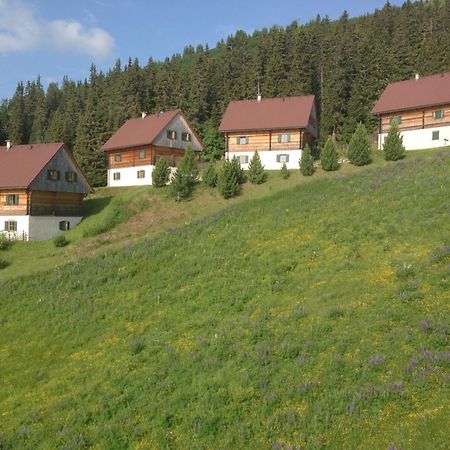 Moselebaueralm Villa Klippitztorl Luaran gambar