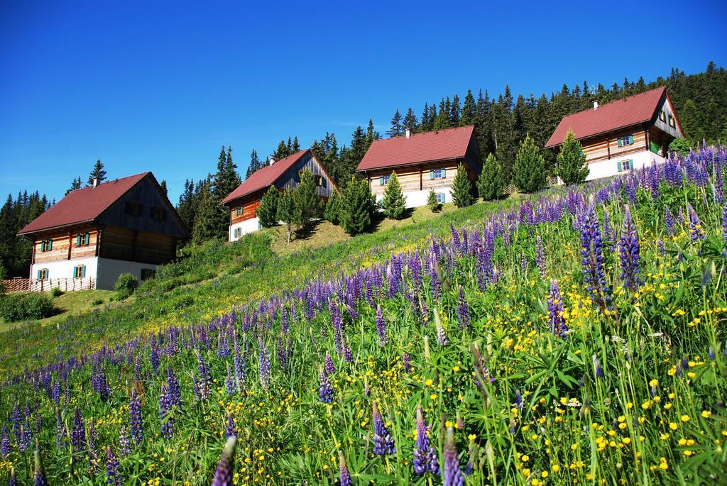 Moselebaueralm Villa Klippitztorl Bilik gambar