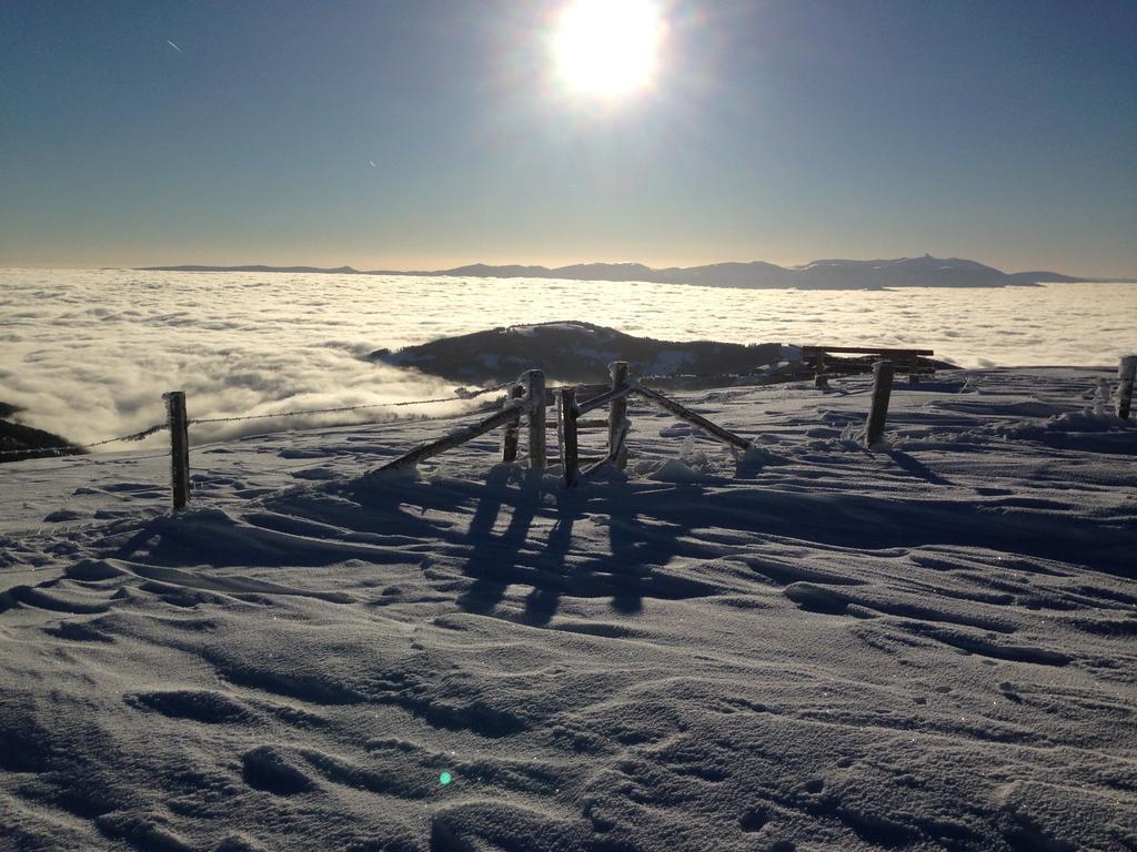 Moselebaueralm Villa Klippitztorl Bilik gambar