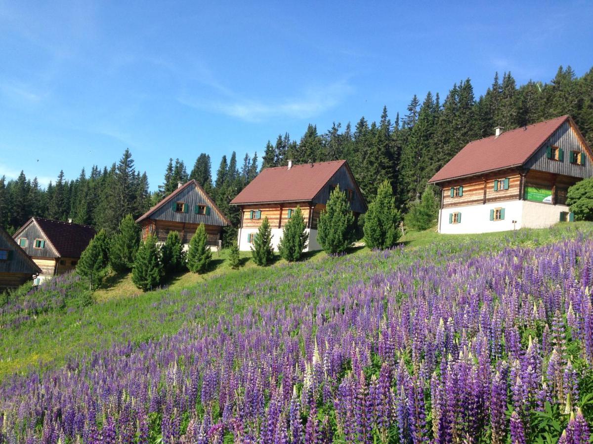 Moselebaueralm Villa Klippitztorl Luaran gambar